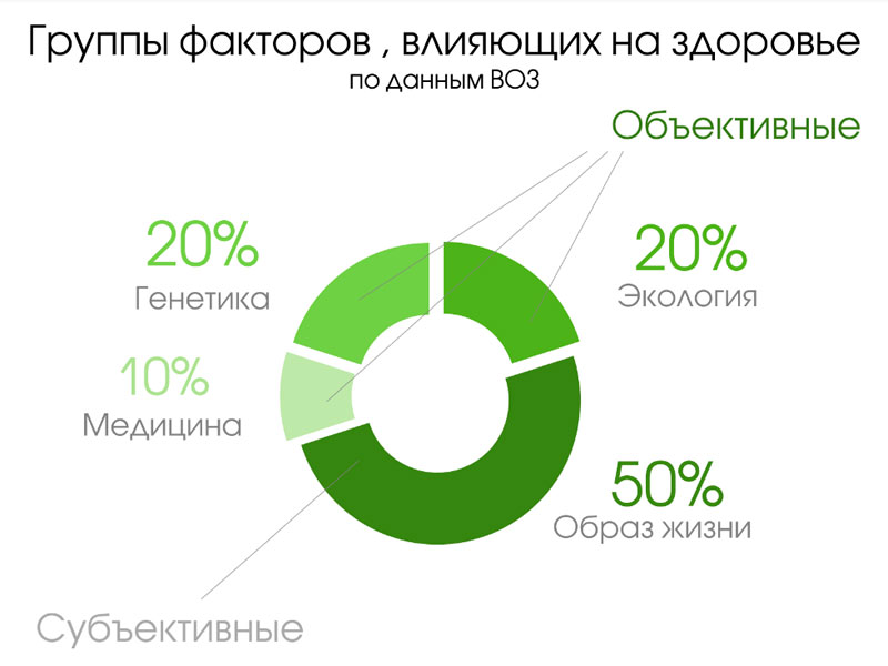 Группы факторов влияющие на здоровье