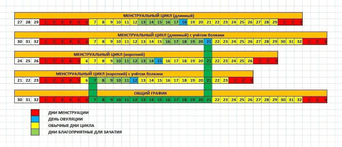 kak-rasschitat-ovulyatsiyu-3