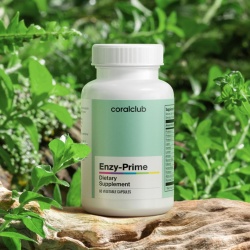 Enzy-Prime